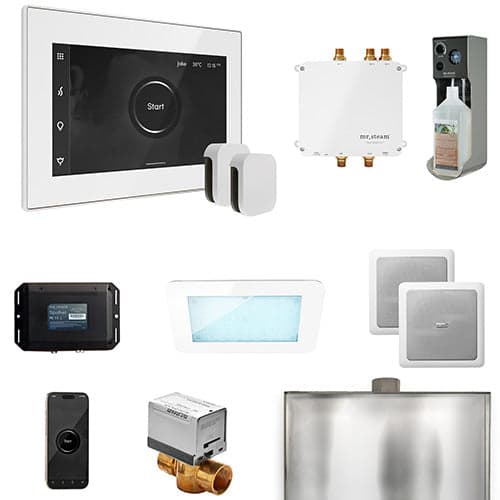Mr. Steam Bliss MAX Steam Control Package — photo 1