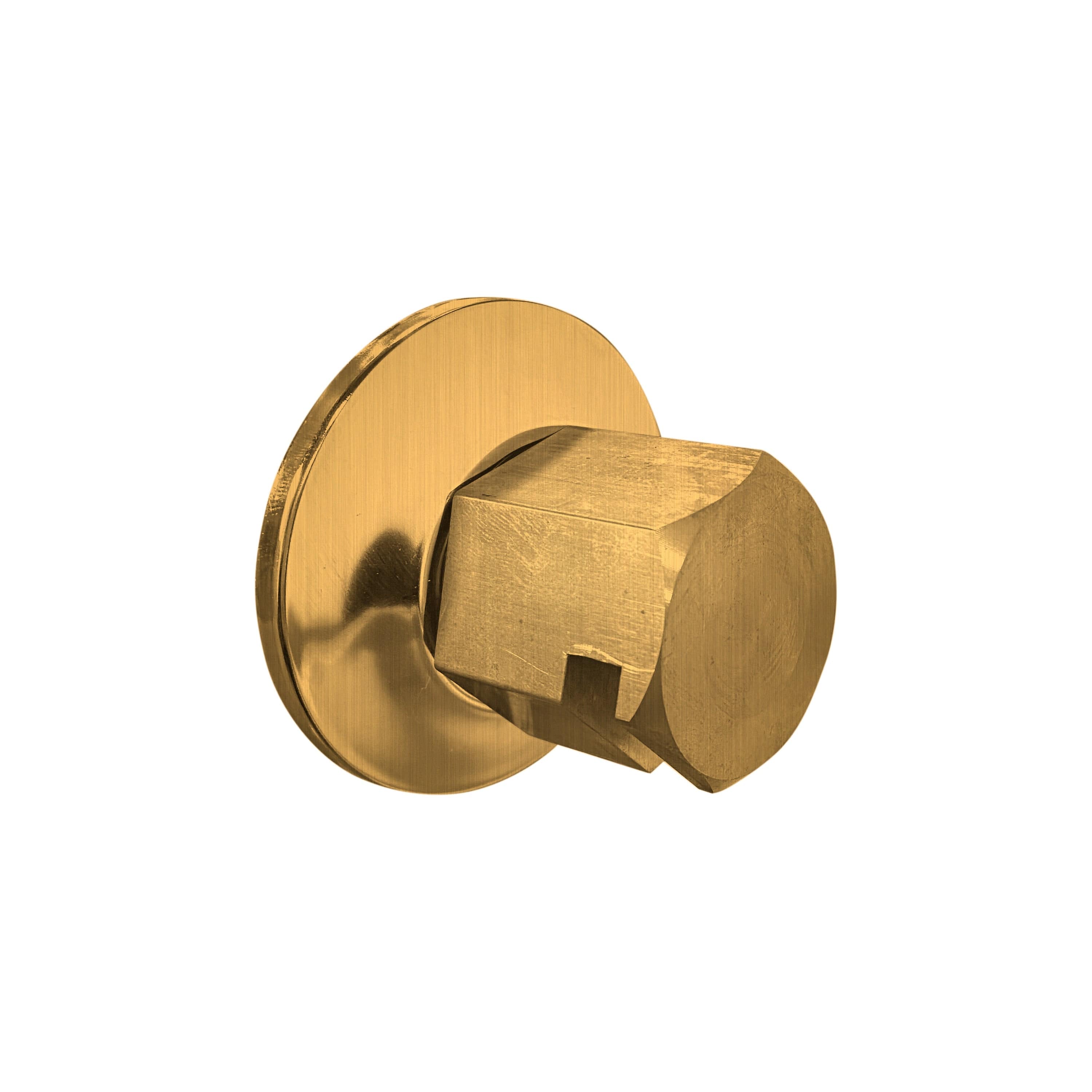 ThermaSol TSS Traditional 3/4 in Style Steam Head — photo 1